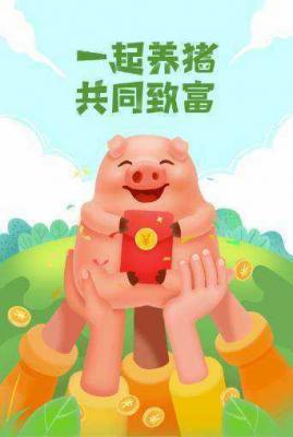 一起来养猪 v2.9.0