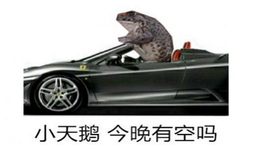 小天鹅我想你了约会吗表情包  v1.0