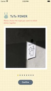 ToTo PINER v3.0.5