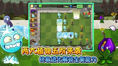 植物大战僵尸2 2023最新版 v3.1.5