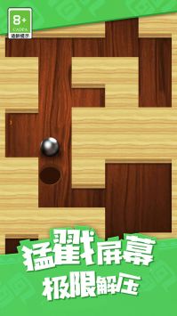 弹珠迷宫 v3.0.5