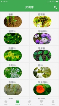 植物百科 v2.0.5