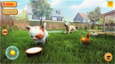猫咪模拟器2021 v3.4