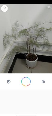 惊鸿相机 v4.1.0