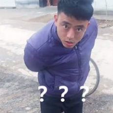 抖音铁山靠邦邦两拳表情包 v1.0