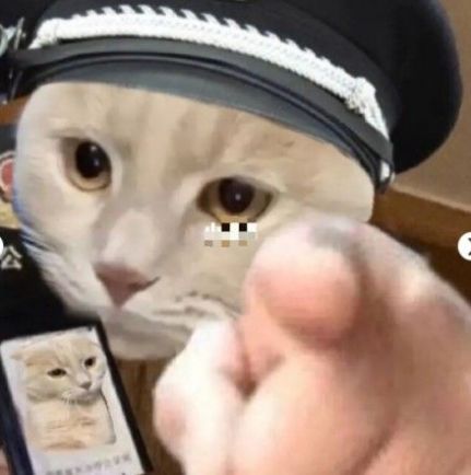 猫咪警察指人表情包 v1.0
