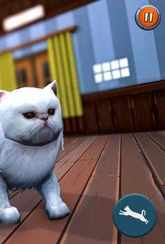 猫和女佣 v3.1