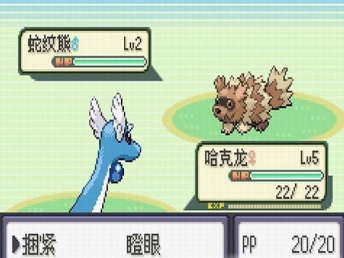 口袋妖怪珍珠汉化版 v6.3.1