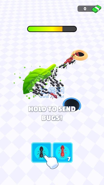 虫虫黑洞Bug Hole