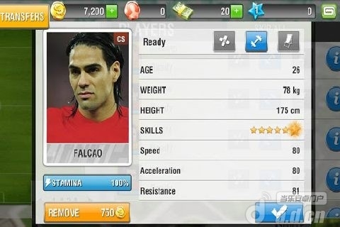 真实足球 2013 修改版(含数据包) v1.0.7 v3.1.5