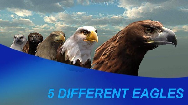 猎鹰之旅模拟器 v1.51