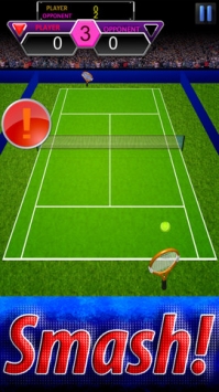 2013英国王牌网球冠军公开赛 v3.1.5