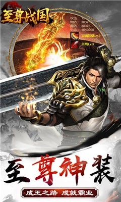 至尊战国 2024-06-25 15:08