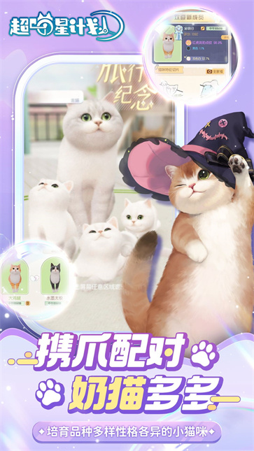 超喵星计划  v57287