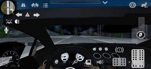 真实停车模拟多人 v4.5.9
