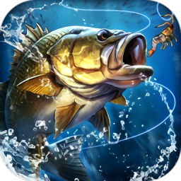 天天钓鱼达人版