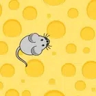 最优化的猫CatchThe Mouse