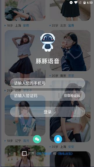 豚豚语音聊天.png