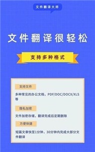文件翻译大师  v1.0