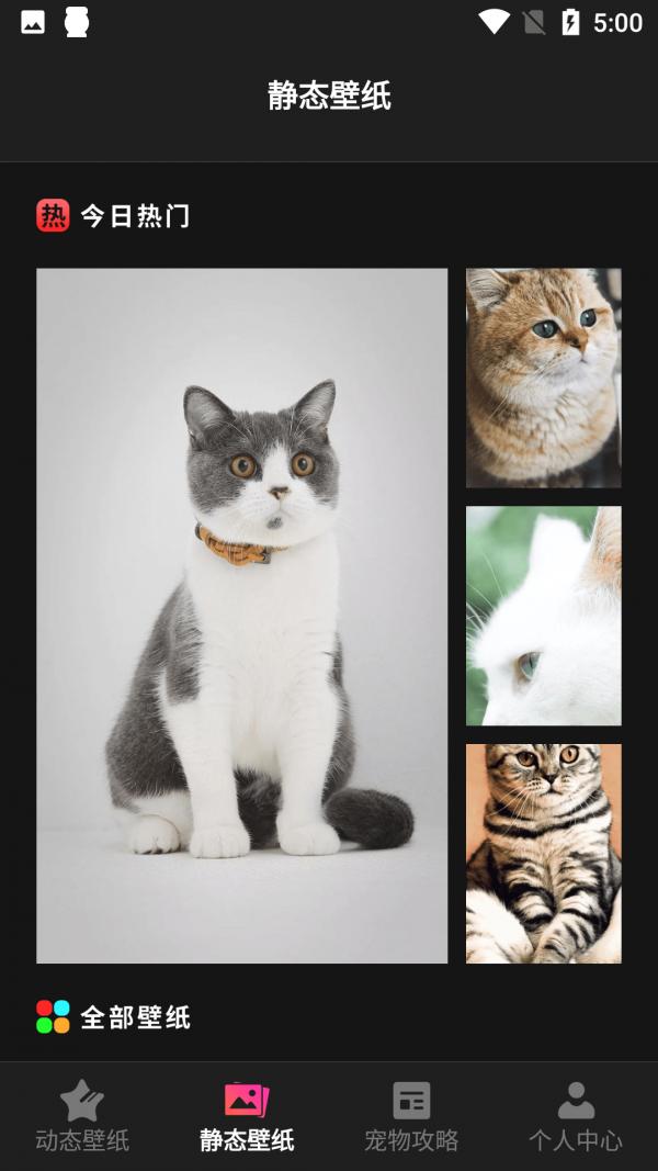 猫咪壁纸 v1.1