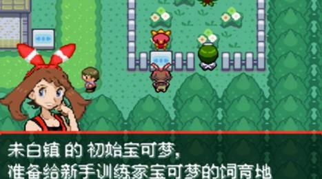 口袋妖怪究极绿宝石5.3金手指版最新下载图片1