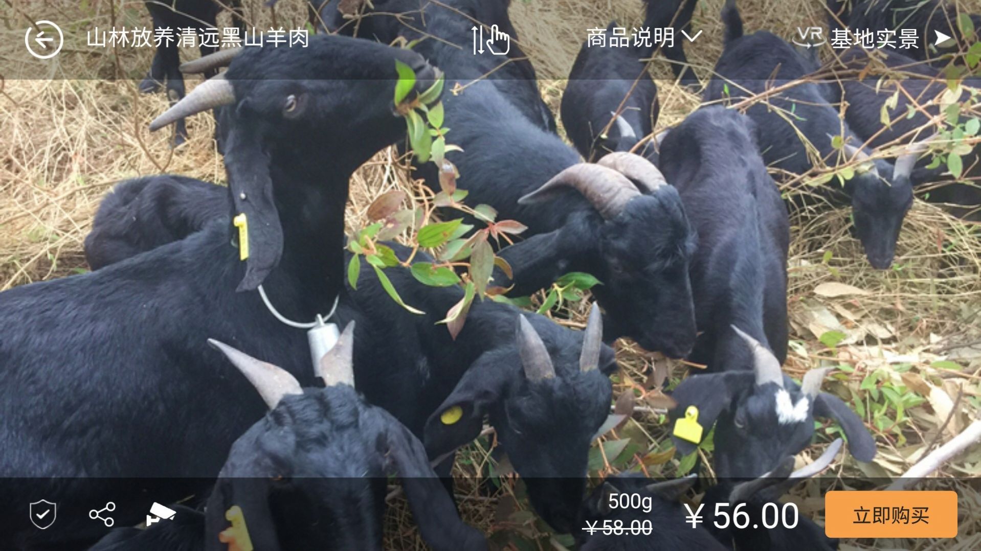 购真实购物APP手机版图片1