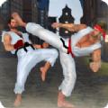空手道格斗大师游戏安卓最新版 