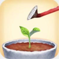 普兰兹植物培养