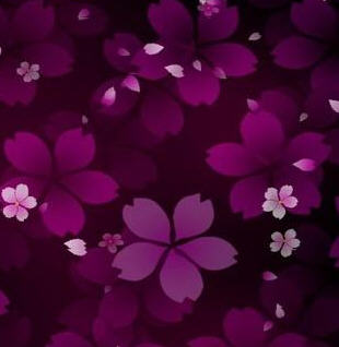 樱花飘零动态壁纸 版本:V1.5