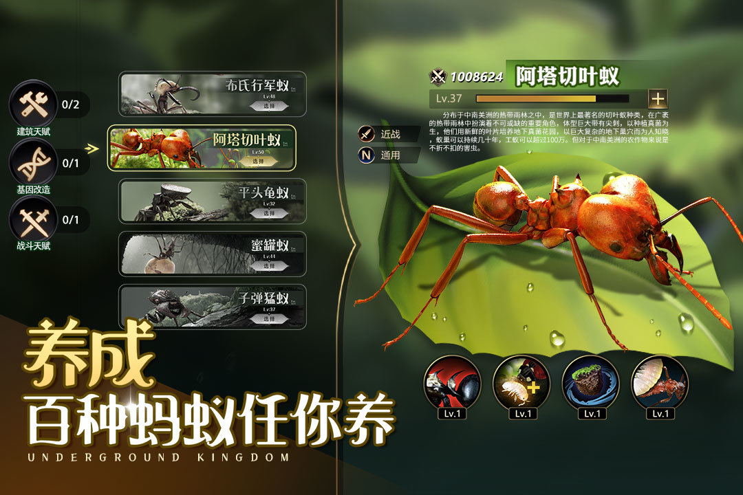 小小蚁国九游版 v1.52.0