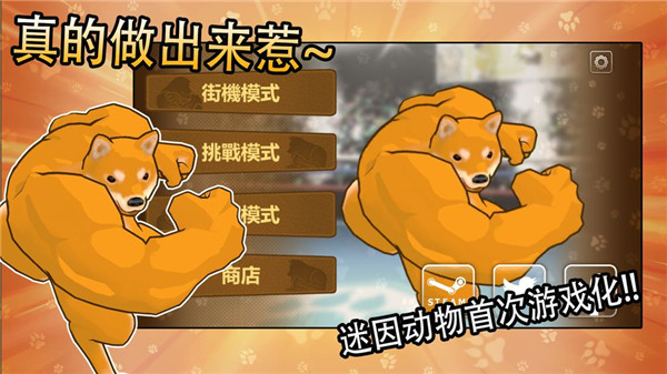 动物之斗官方正版