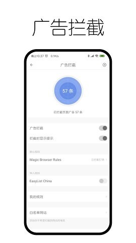 神奇浏览器截图0