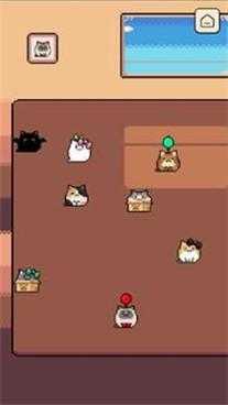 hefeedmee本喵王饿了