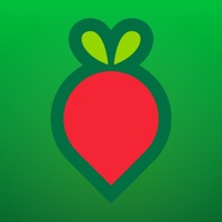 叮咚买菜生鲜蔬菜