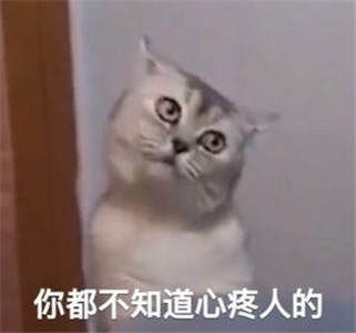 想你的液王思聪图片表情包 v1.0