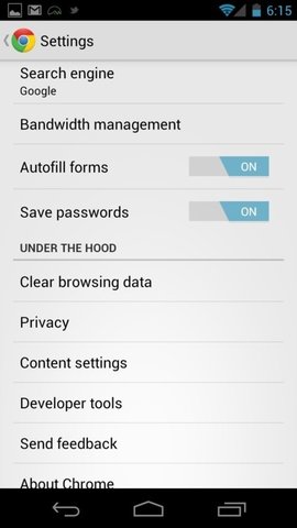 谷歌浏览器 v110.0