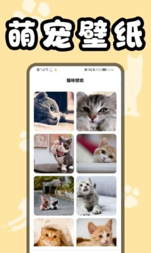 猫猫翻译器  v1.1