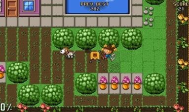 周日草坪季节游戏安卓版手机版  v3.0.1