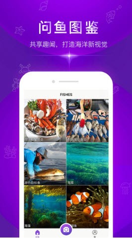 拍照识别鱼品种截图1
