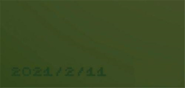 电子女孩中文版手游