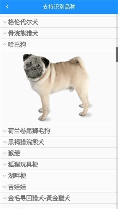 哈狗识别  v1.0.0