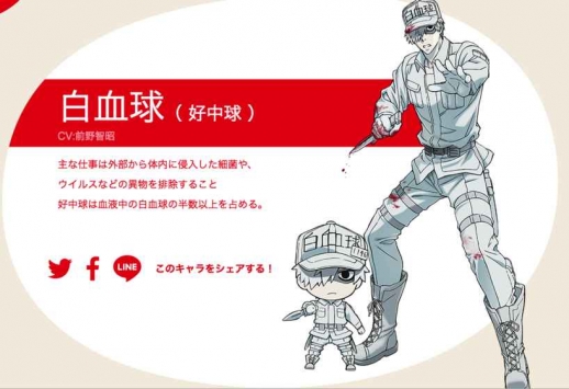 永远的工作细胞 v2.5.5