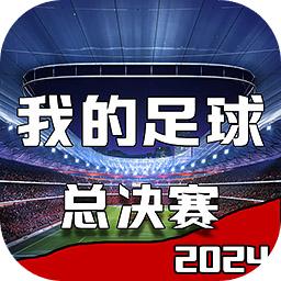 我的足球总决赛