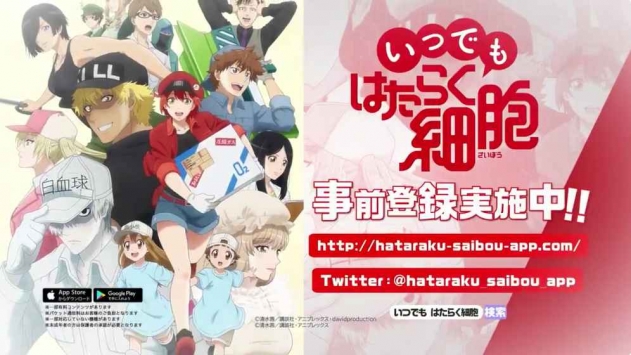 永远的工作细胞 v2.5.5