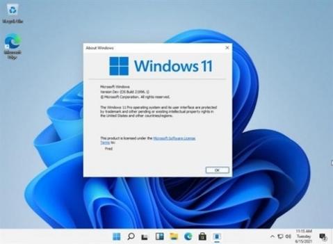 windows11 v2.0.5