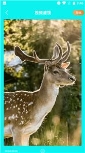 花火视频编辑  v1.2