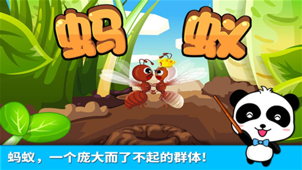 宝宝认蚂蚁游戏最新版 v9.76.00.00