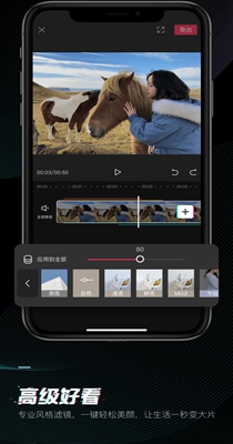 剪映蚂蚁呀嘿特效 4.4