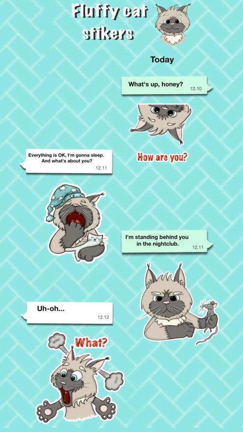 毛茸茸的猫  V 1.0