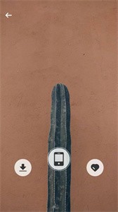 活力壁纸  v1.0.0